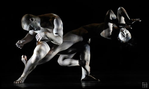 Pilobolus in Korokoro. Photo by Sara Davis. 