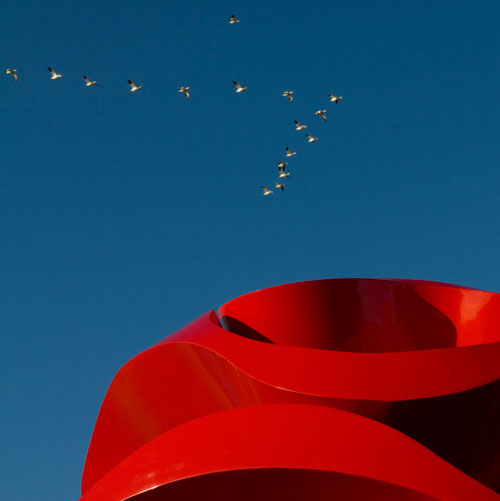 Yvonne Domenge Wind Waves (Olas de viento), 2009 Painted steel Vancouver Biennale, Vancouver, Canada Photo credit: Christina Lazar-Schuler, 2010.