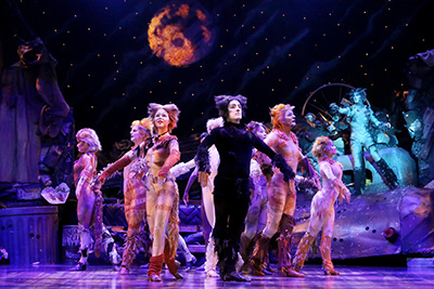 The cast of Cats.  Photo by Curtis Brown.