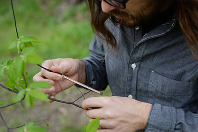 Abinadi Meza attaching flex-sensor to tree. Photo by Brandy Tribble.