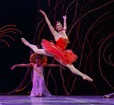 Ballet Austin in The Firebird Photo by Tony Spielberg.