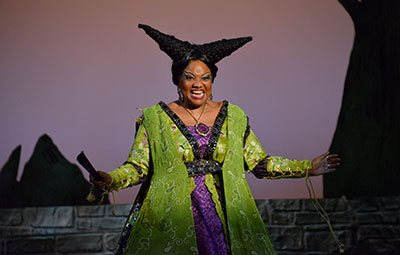 M. Denise Lee in DCT’s Rapunzel! Rapunzel! A Very Hairy Fairy Tale Photo by Karen Almond.