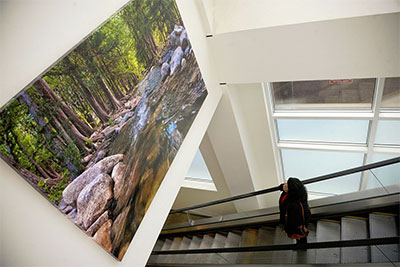 The Art of Healing - Michael Marvins' first permanent installation at Baylor St. Luke’s Medical Center. Photo courtesy of Baylor St. Luke's Medical Center.