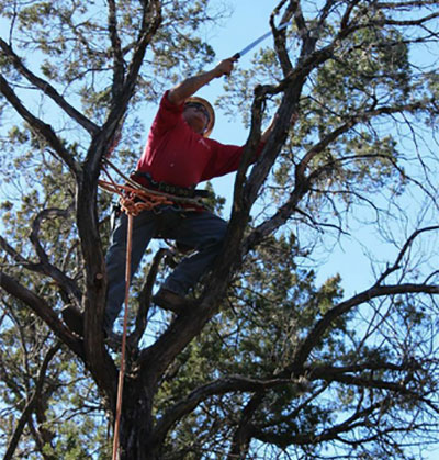 City of Austin Urban Forestry Crew Leader Mauricio Segura performs in Allison Orr’s The Trees of Govalle. Photo courtesy of Forklift Danceworks.