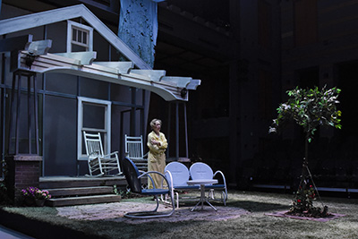 Diana Sheehan in All My Sons. Photo by Karen Almond.