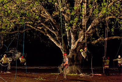 Martin Maldonado, Marshall Duncan, Amanda Hancock,Jesse Neumann, Mauricio Segura and Nate Sponseller in Allison Orr’s The Trees of Govalle, performed as part of the Fusebox Festival’s thinkEAST initiative. Photo by Amitava Sarkar. 