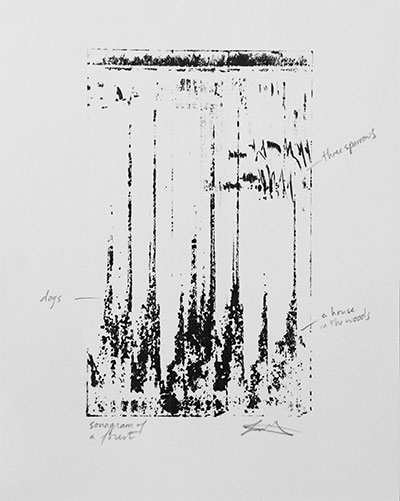 Lina Dib, Sonogram of a Forest, Monoprint- 7x8 inches. Ink and graphite on paper. Image courtesy of the artist.