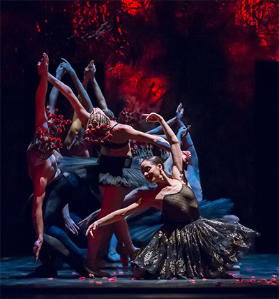 Ballet Austin in Belle REDUX/ A Tale of Beauty & the Beast. Photo by Tony Spielberg.