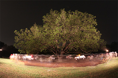 Forklift Dance production of Allison Orr’s The Trees of Govalle. Photo by Amitava Sarkar.