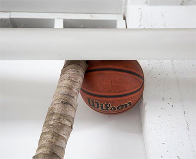 Liz Rodda, Advantage, detail, 2015. Palm tree trunk, basketball. 105" tall. Image courtesy the artist.