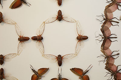 Detail: Jennifer Angus, Silver Wings and Golden Tales, Insects, Resin, Cloth, 12’ x 10’ and 13’10“ x 10’ (two walls), 2016.