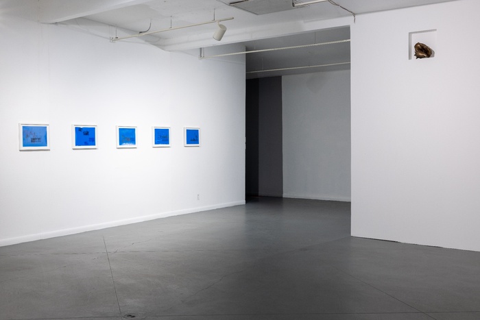 Installation View: Saharan Air Layer Jamal Cyrus 2026 Texas Artist of the Year Exhibition at Art League Houston. Photo by Alex Barber, courtesy of Art League Houston.